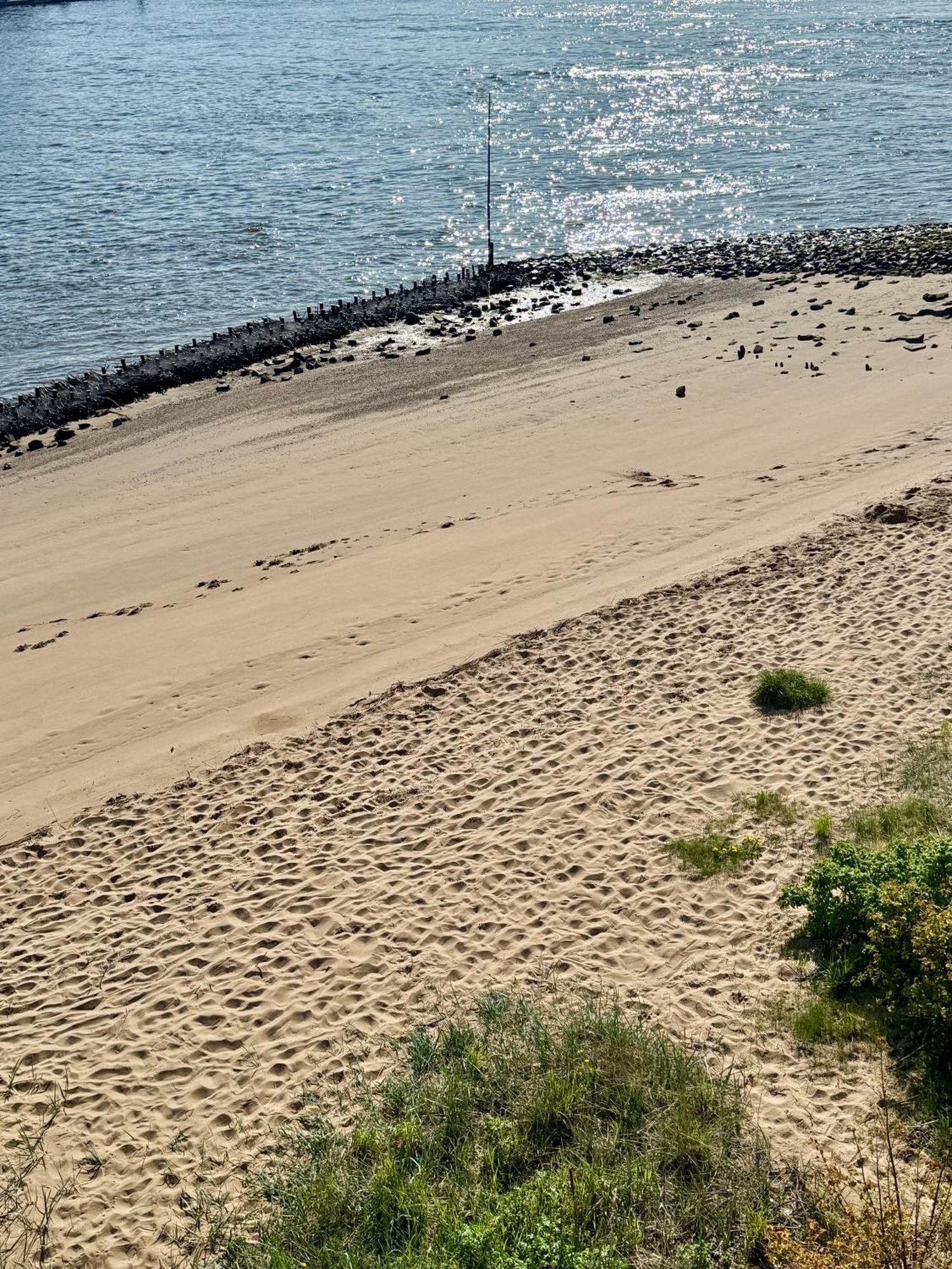 Gaestehaus Weserblick Am Weser-Sandstrand Berne Kültér fotó