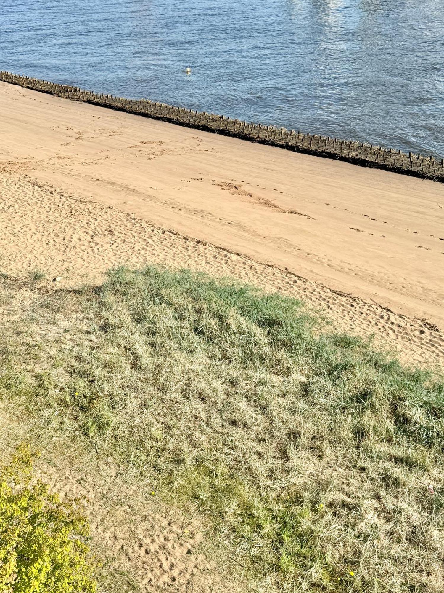Gaestehaus Weserblick Am Weser-Sandstrand Berne Kültér fotó